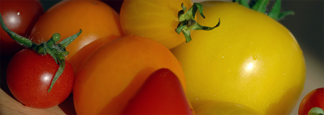 Tomaten